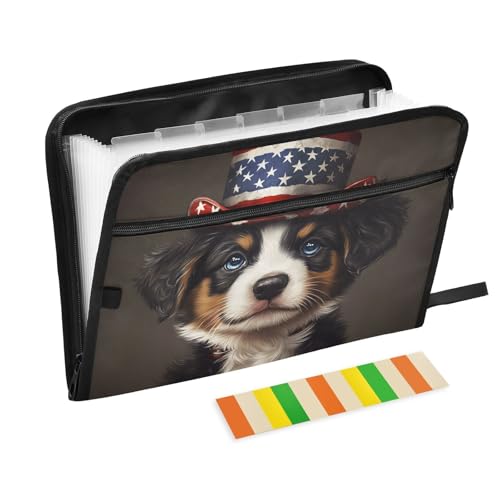 Quteprint Fächermappe mit 13 Fächern, mit Reißverschluss, Akkordeon-Aktenordner mit amerikanischen Flaggen, Akkordeon-Aktenordner mit Klebeetiketten, A4-Papier, erweiterbarer Dokumenten-Organizer von Quteprint