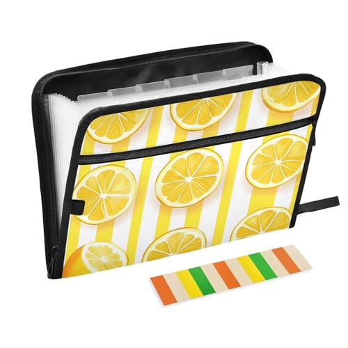 Quteprint Fächermappe mit 13 Fächern, mit Reißverschluss, Zitronenscheiben, gestreift, Akkordeon-Aktenordner mit Klebeetiketten, A4-Papier, erweiterbarer Dokumenten-Organizer von Quteprint