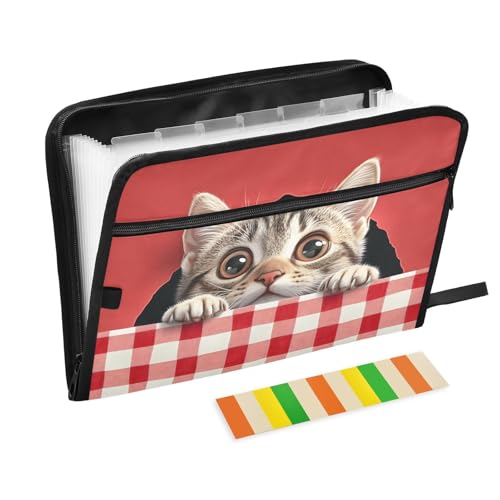 Quteprint Fächermappe mit 13 Fächern, mit Reißverschluss, niedliche Katze, die aus einem Loch schaut, Akkordeon-Aktenordner mit Klebeetiketten, A4-Papier, erweiterbarer Dokumenten-Organizer von Quteprint