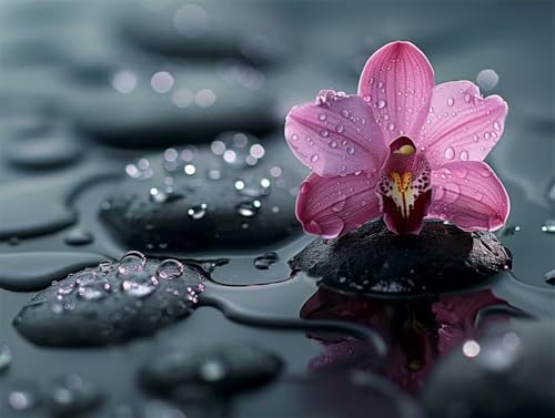Erwachsene Diamond Painting DIY 5D Voll Bohren Set Rosa Orchideenblüte Bild Diamant Gemälde Diamant Malerei Arts Craft Perfekt Für Entspannung Und Decor Quadratischer Diamant 55x75cm AE2403 von Quxaoqiao
