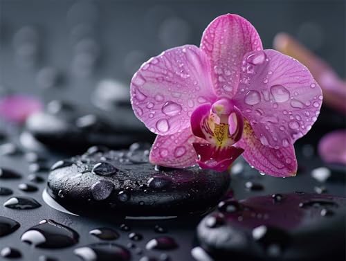 Erwachsene Diamond Painting DIY 5D Voll Bohren Set Rosa Orchideenblüte Bild Diamant Gemälde Diamant Malerei Arts Craft Perfekt Für Entspannung Und Decor Quadratischer Diamant 55x75cm AE2404 von Quxaoqiao