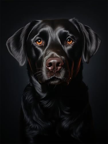 Erwachsene und Anfänger Diamond Painting DIY 5D Voll Bohren Set Labrador Hund Bild Diamant Gemälde Diamant Malerei Arts Craft Perfekt Für Entspannung Und Decor Quadratischer Diamant 55x75cm AE2338 Erwachsene und Anfänger Diamond Painting DIY 5D Voll Bohren Set Labrador Hund Bild Diamant Gemälde Diamant Malerei Arts Craft Perfekt Für Entspannung Und Decor Quadratischer Diamant 55x75cm AE2338 von Quxaoqiao