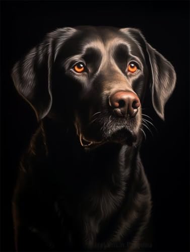 Erwachsene und Anfänger Diamond Painting DIY 5D Voll Bohren Set Labrador Hund Bild Diamant Gemälde Diamant Malerei Arts Craft Perfekt Für Entspannung Und Decor Quadratischer Diamant 55x75cm AE2339 Erwachsene und Anfänger Diamond Painting DIY 5D Voll Bohren Set Labrador Hund Bild Diamant Gemälde Diamant Malerei Arts Craft Perfekt Für Entspannung Und Decor Quadratischer Diamant 55x75cm AE2339 von Quxaoqiao