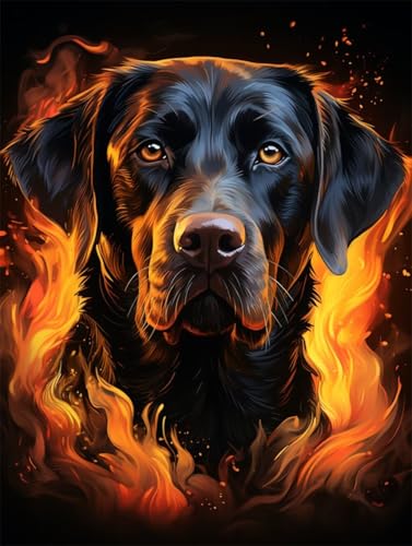 Erwachsene und Anfänger Diamond Painting DIY 5D Voll Bohren Set Labrador Hund Bild Diamant Gemälde Diamant Malerei Arts Craft Perfekt Für Entspannung Und Wand Decor Runder Diamant 25x35cm AE0365 Erwachsene und Anfänger Diamond Painting DIY 5D Voll Bohren Set Labrador Hund Bild Diamant Gemälde Diamant Malerei Arts Craft Perfekt Für Entspannung Und Wand Decor Runder Diamant 25x35cm AE0365 von Quxaoqiao