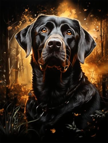 Erwachsene und Anfänger Diamond Painting DIY 5D Voll Bohren Set Labrador Hund Bild Diamant Gemälde Diamant Malerei Arts Craft Perfekt Für Entspannung Und Wand Decor Runder Diamant 25x35cm AE0367 Erwachsene und Anfänger Diamond Painting DIY 5D Voll Bohren Set Labrador Hund Bild Diamant Gemälde Diamant Malerei Arts Craft Perfekt Für Entspannung Und Wand Decor Runder Diamant 25x35cm AE0367 von Quxaoqiao