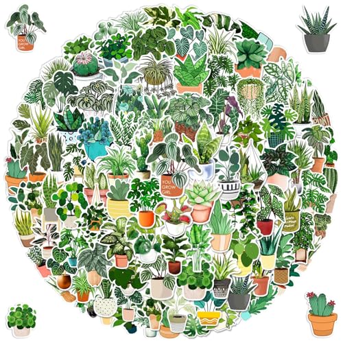 Grüne Pflanzen Aufkleber, 100 Stück Green Plant Sticker Set, Graffiti-Aufkleber Pack, Vinyl Aesthetic Wasserfeste Aufkleber für Motorrad, Fahrrad, Stoßstange, Laptop, Erwachsene, Jugendliche Grüne Pflanzen Aufkleber, 100 Stück Green Plant Sticker Set, Graffiti-Aufkleber Pack, Vinyl Aesthetic Wasserfeste Aufkleber für Motorrad, Fahrrad, Stoßstange, Laptop, Erwachsene, Jugendliche von Qxwuyazbryl