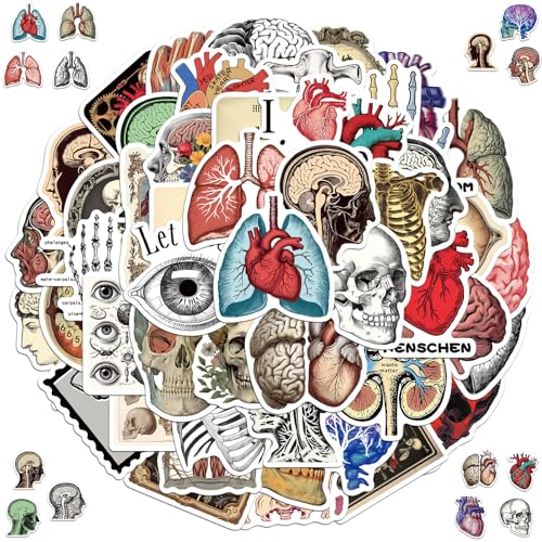 Organe Aufkleber, 2 x 50 Stück Anatomie der Organe Aufkleber, Cartoon organs Anatomie Diagramm Aufklebers, Wasserdicht Vinyl Aufklebers, für Laptop Telefon Gitarre Skateboard Motorrad Fahrrad Organe Aufkleber, 2 x 50 Stück Anatomie der Organe Aufkleber, Cartoon organs Anatomie Diagramm Aufklebers, Wasserdicht Vinyl Aufklebers, für Laptop Telefon Gitarre Skateboard Motorrad Fahrrad von Qxwuyazbryl