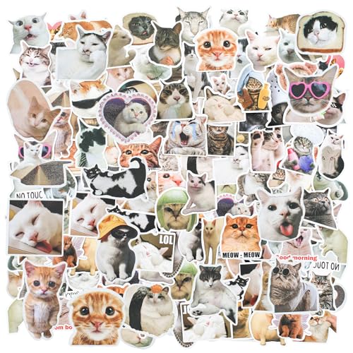 RAFIYU Katzen Aufkleber, 100 Stück Katzen Sticker Meme Süße Katzen Aufkleber Wasserdicht PVC Ästhetisch Aufkleber für Katzenliebhaber Wasserflaschen Koffer Notebook Telefon (Lustiges Katzenform) von RAFIYU