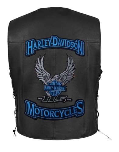 Ram005 Harley-Aufnäher zum Aufbügeln, für Lederjacken und Westen, Größe 27,9 cm, 1 Paar von RAMI AMZ