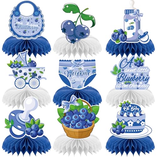 Blaubeeren-Willkommens-Baby-Waben-Tafelaufsätze für Babyparty, Party, Tischdekoration, Sweet Blueberry is on the way, Tischdekoration, Mittelaufsatz, Neugeborene, Hello Baby, Ankündigung von RANERVZ