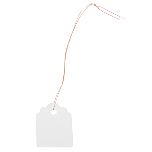RASTKY Samenname Tag - 200pcs PVC Hanging Blumenpflanze Samen Etikett Markerzeichen Outdoor -für Pflanzenidentifikation (WHITE) von RASTKY
