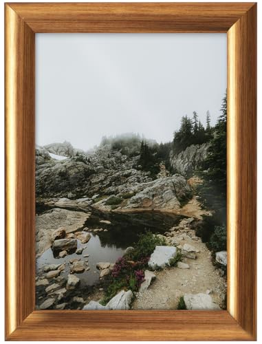 RAWWEST.BIS Holz Bilderrahmen 24x30cm Plakatrahmen Holzrahmen mit Plexi Acrylglas Rahmen aus Holz mit abgeriebener goldener Furnierung für Bilder Poster Fotos Puzzles Posterrahmen Fotorahmen RAWWEST.BIS Holz Bilderrahmen 24x30cm Plakatrahmen Holzrahmen mit Plexi Acrylglas Rahmen aus Holz mit abgeriebener goldener Furnierung für Bilder Poster Fotos Puzzles Posterrahmen Fotorahmen von RAWWEST.BIS