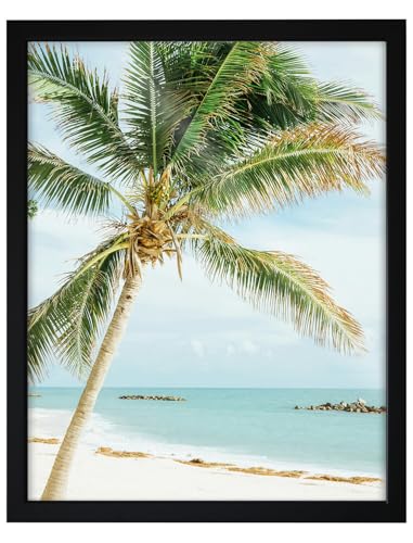 RAWWEST.BIS Holz Bilderrahmen 30x40cm Plakatrahmen Holzrahmen mit Plexi Acrylglas Rahmen aus Holz für Bilder Poster Fotos und für Puzzles Posterrahmen Fotorahmen mit Furnierung in Schwarz RAWWEST.BIS Holz Bilderrahmen 30x40cm Plakatrahmen Holzrahmen mit Plexi Acrylglas Rahmen aus Holz für Bilder Poster Fotos und für Puzzles Posterrahmen Fotorahmen mit Furnierung in Schwarz von RAWWEST.BIS