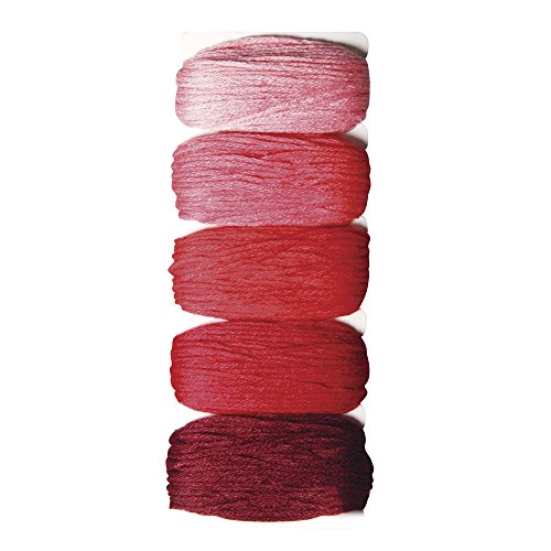 Rayher 53564286 Baumwoll-Garn "Stitch & Knot", Rottöne, 5 Farben je 10 m (50 m), Kreuzstich-Garnset, Stickgarn Set, Knüpfgarn, Garn für Freundschaftsbänder, Kirschrot von Rayher