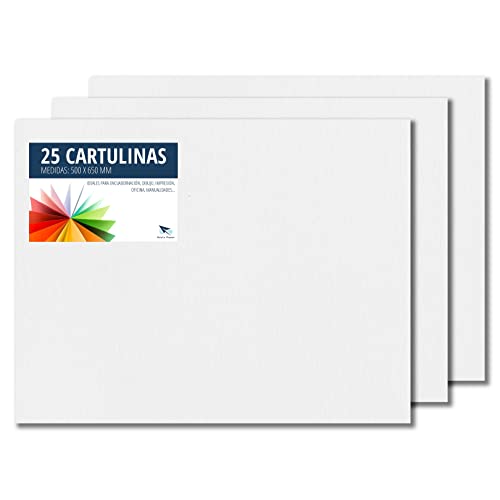 RAYLU PAPER – Tonpapier 50 x 65 cm, 25 Stück Kartonpapier 180g/m², 210 x 297 mm, professionelle farbige Kartons für Büro, Kopierpapier, Buntes Papier zum Basteln (Weiß) von RAYLU PAPER