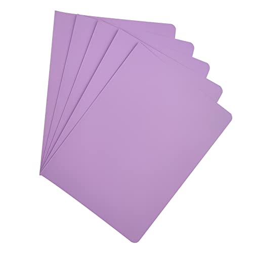 Raylu Paper® - 25 Stück Unterordner aus Karton, mit Faster-Löchern und lebendigen Farben, 200 g dicke Kraftkarton-Ordner (Lila, A4) von RAYLU PAPER