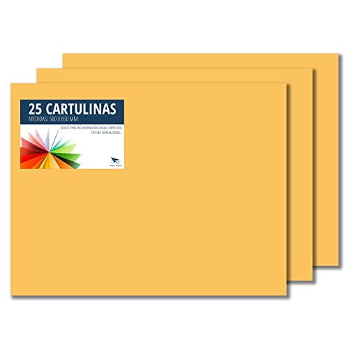 RAYLU PAPER – Tonpapier 50 x 65 cm, 25 Stück Kartonpapier 180g/m², 210 x 297 mm, professionelle farbige Kartons für Büro, Kopierpapier, Buntes Papier zum Basteln (Leder) von RAYLU PAPER