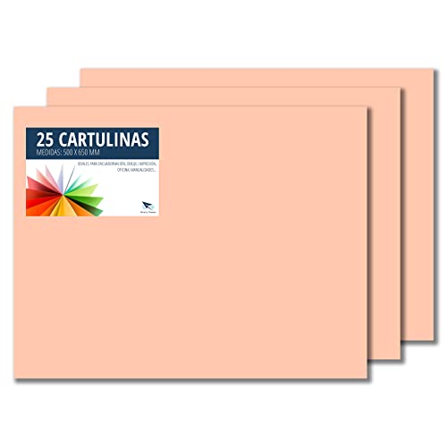 RAYLU PAPER – Tonpapier 50 x 65 cm, 25 Stück Kartonpapier 180g/m², 210 x 297 mm, professionelle farbige Kartons für Büro, Kopierpapier, Buntes Papier zum Basteln (Hautfarben) von RAYLU PAPER