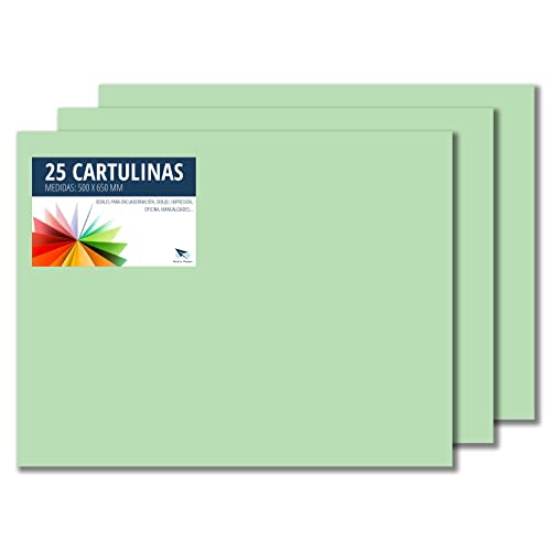 RAYLU PAPER – Tonpapier 50 x 65 cm, 25 Stück Kartonpapier 180g/m², 210 x 297 mm, professionelle farbige Kartons für Büro, Kopierpapier, Buntes Papier zum Basteln (Apfelgrün) von RAYLU PAPER