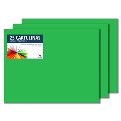 RAYLU PAPER – Tonpapier 50 x 65 cm, 25 Stück Kartonpapier 180g/m², 210 x 297 mm, professionelle farbige Kartons für Büro, Kopierpapier, Buntes Papier zum Basteln (Billardgrün) von RAYLU PAPER