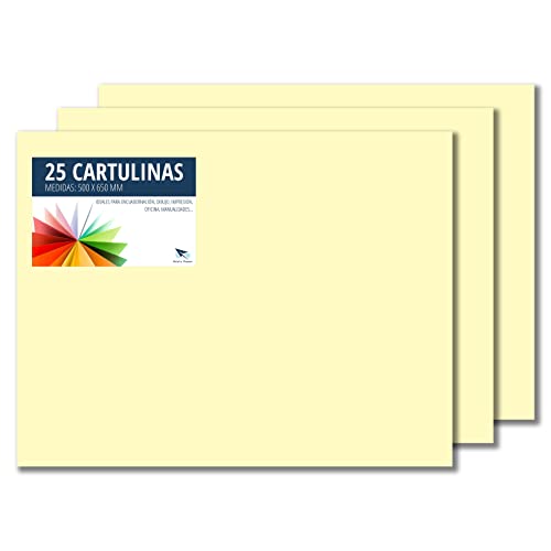 RAYLU PAPER – Tonpapier 50 x 65 cm, 25 Stück Kartonpapier 180g/m², 210 x 297 mm, professionelle farbige Kartons für Büro, Kopierpapier, Buntes Papier zum Basteln (Creme) von RAYLU PAPER