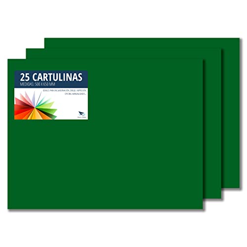 RAYLU PAPER – Tonpapier 50 x 65 cm, 25 Stück Kartonpapier 180g/m², 210 x 297 mm, professionelle farbige Kartons für Büro, Kopierpapier, Buntes Papier zum Basteln (Dschungelgrün) von RAYLU PAPER