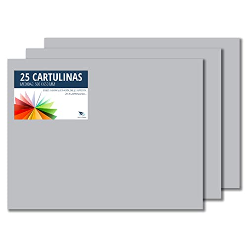 RAYLU PAPER – Tonpapier 50 x 65 cm, 25 Stück Kartonpapier 180g/m², 210 x 297 mm, professionelle farbige Kartons für Büro, Kopierpapier, Buntes Papier zum Basteln (Hellgrau) von RAYLU PAPER