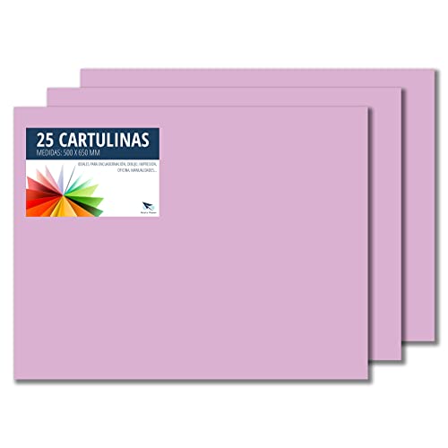 RAYLU PAPER – Tonpapier 50 x 65 cm, 25 Stück Kartonpapier 180g/m², 210 x 297 mm, professionelle farbige Kartons für Büro, Kopierpapier, Buntes Papier zum Basteln (Lila) von RAYLU PAPER