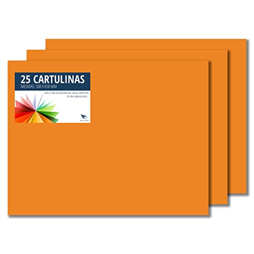 RAYLU PAPER – Tonpapier 50 x 65 cm, 25 Stück Kartonpapier 180g/m², 210 x 297 mm, professionelle farbige Kartons für Büro, Kopierpapier, Buntes Papier zum Basteln (Orange) von RAYLU PAPER