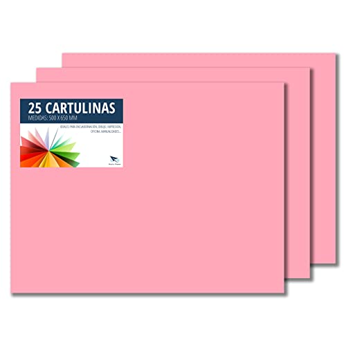 RAYLU PAPER – Tonpapier 50 x 65 cm, 25 Stück Kartonpapier 180g/m², 210 x 297 mm, professionelle farbige Kartons für Büro, Kopierpapier, Buntes Papier zum Basteln (Rosa) von RAYLU PAPER