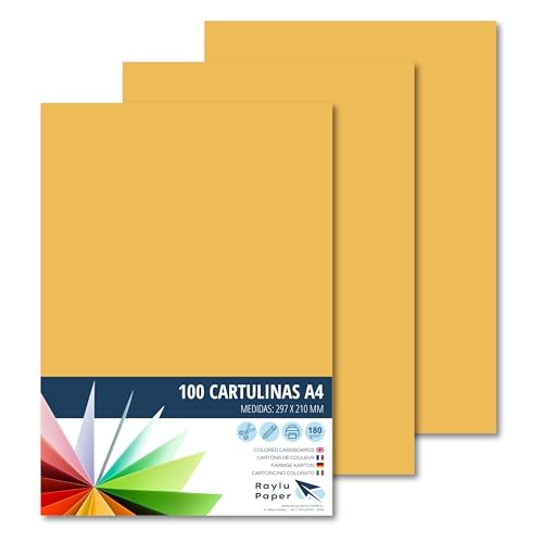 RAYLU PAPER – Tonpapier A4, 100 Stück Kartonpapier 180g/m², 210 x 297 mm, professionelle farbige Kartons für Büro, Kopierpapier, Buntes Papier zum Basteln (Leder) von RAYLU PAPER
