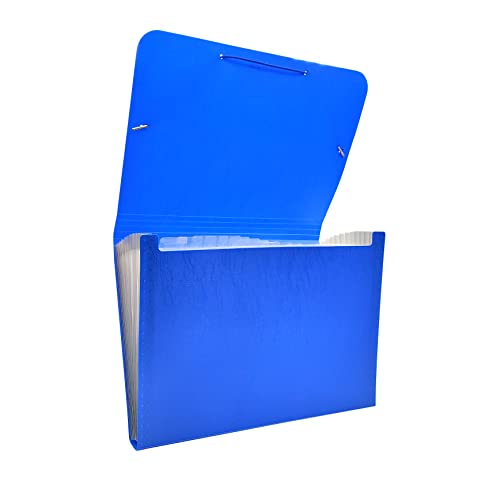Raylu Paper® - Akkordeon-Sortiermappe mit 12 Fächern, blickdichter Kunststoff-Ordner mit Trennwänden für Büro (Blau) von RAYLU PAPER