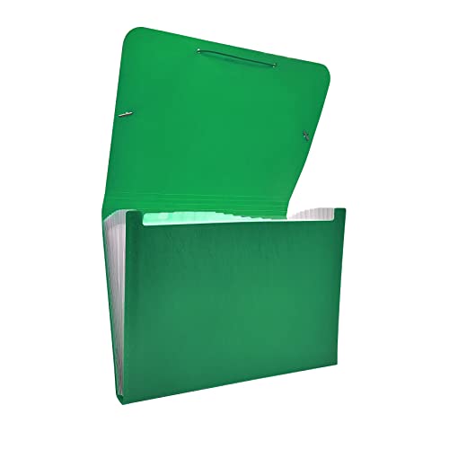 Raylu Paper® - Akkordeon-Sortiermappe mit 12 Fächern, blickdichter Kunststoff-Ordner mit Trennwänden für Büro (Grün) von RAYLU PAPER