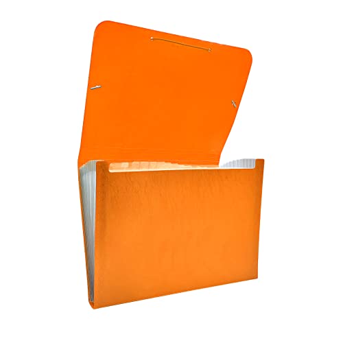 Raylu Paper® - Akkordeon-Sortiermappe mit 12 Fächern, blickdichter Kunststoff-Ordner mit Trennwänden für Büro (Orange) von RAYLU PAPER