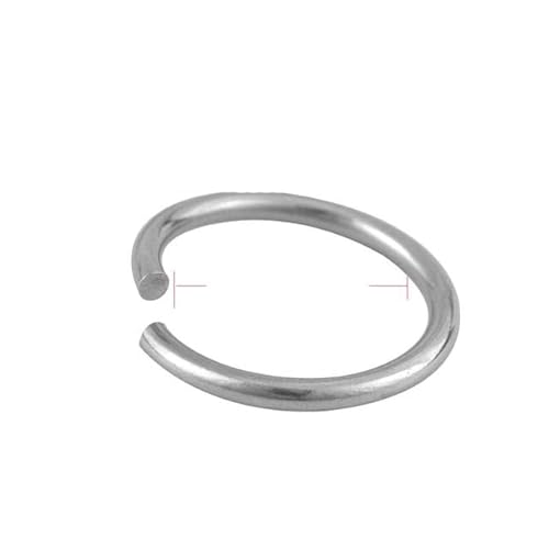 12/15/20/25/30/mm Edelstahl-Stecker-Spaltring für Halskette, Armband, Schmuck, DIY-Herstellung, Zubehör, Biegering, 2 x 20 mm 12/15/20/25/30/mm Edelstahl-Stecker-Spaltring für Halskette, Armband, Schmuck, DIY-Herstellung, Zubehör, Biegering, 2 x 20 mm von RCIDOS