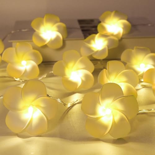RECUTMS Künstliche Plumeria-Lichterkette aus Schaumstoff, 20 LEDs, hawaiianische Frangipani-Blume, batteriebetrieben, für Hochzeit, Luau, Strand, tropische Party, Zuhause, Garten, Sommer, Innen- und RECUTMS Künstliche Plumeria-Lichterkette aus Schaumstoff, 20 LEDs, hawaiianische Frangipani-Blume, batteriebetrieben, für Hochzeit, Luau, Strand, tropische Party, Zuhause, Garten, Sommer, Innen- und von RECUTMS