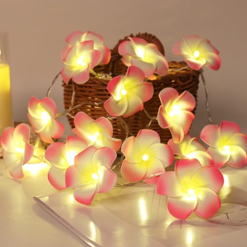 RECUTMS Plumeria Lichterkette, künstliche Schaumstoffblume, batteriebetrieben, 20 LEDs, hawaiianische Lichterkette für Sommer, Außen, Innenbereich, tropisches Luau, Dschungel, Strand, Thema, Hochzeit, von RECUTMS