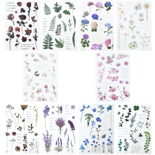 160 Blumenaufkleber, natürliche Scrapbook-Aufkleber, 10 Bögen, selbstklebende, transparente Blumenaufkleber für Scrapbook-Zubehör, Karten, Laptops, Basteln, Flaschen 160 Blumenaufkleber, natürliche Scrapbook-Aufkleber, 10 Bögen, selbstklebende, transparente Blumenaufkleber für Scrapbook-Zubehör, Karten, Laptops, Basteln, Flaschen von REEKNOKOL
