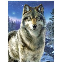 Malen nach Zahlen "Wolf", 23 x 30 cm von Multi