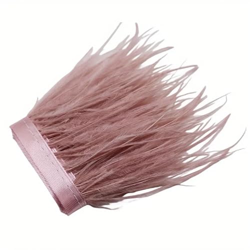 1/10 m Straußenfeder-Bordüre, Bastelarbeiten, Federschmuck, Hochzeit, Party, Weihnachtsdekoration, 8–10 cm, Lederpulver, 10 m 1/10 m Straußenfeder-Bordüre, Bastelarbeiten, Federschmuck, Hochzeit, Party, Weihnachtsdekoration, 8–10 cm, Lederpulver, 10 m von REHJJDFD