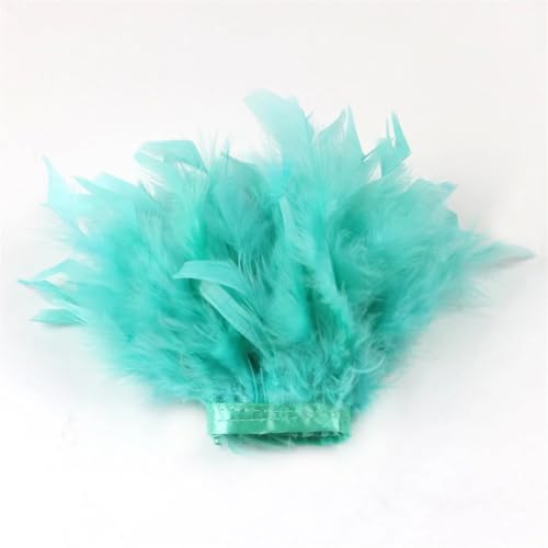 1/2 m langes Band mit Truthahnfedern, 10–15 cm, flauschiges Band für Party, Kleidung, Dekoration, Nähzubehör, Minze, En8, 1 Meter 1/2 m langes Band mit Truthahnfedern, 10–15 cm, flauschiges Band für Party, Kleidung, Dekoration, Nähzubehör, Minze, En8, 1 Meter von REHJJDFD