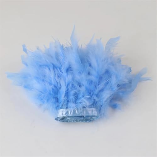 1/2 m langes Band mit Truthahnfedern, 10–15 cm, flauschiges Federband, für Party, Kleidung, Dekoration, Nähzubehör, Hellblau, 1 m 1/2 m langes Band mit Truthahnfedern, 10–15 cm, flauschiges Federband, für Party, Kleidung, Dekoration, Nähzubehör, Hellblau, 1 m von REHJJDFD