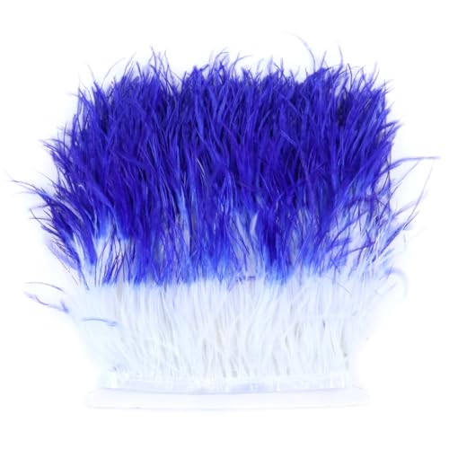 1 Meter 10–15 cm ausgefallenes flauschiges farbiges Straußenfederband, Spitzenborte, Fransenborte für Kostüme, 5 x 10–15 cm von REHJJDFD
