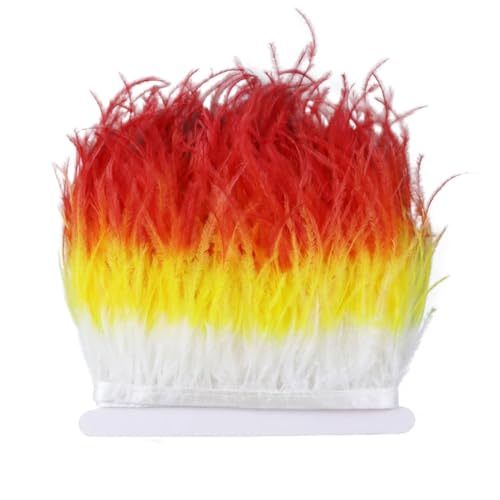 1 Meter 10–15 cm ausgefallenes flauschiges farbiges Straußenfederband, Spitzenborte für Kostüme, 9 10–15 cm von REHJJDFD