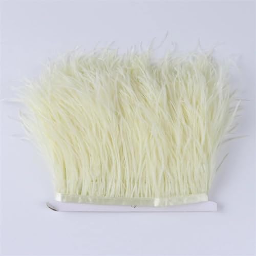 1 Meter Straußenfederbesatz Besatz Gefieder Fransenband Spitze für Hochzeit Party Kleid Dekoration Beige 10-13cm 1 Meter Straußenfederbesatz Besatz Gefieder Fransenband Spitze für Hochzeit Party Kleid Dekoration Beige 10-13cm von REHJJDFD