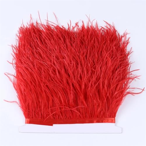 1 Meter Straußenfederbesatz Besatz Gefieder Fransenband Spitze für Hochzeit Party Kleid Dekoration Rot 8-10cm von REHJJDFD