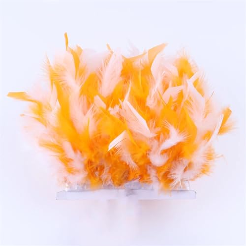 1 Meter gemischte Farben, Truthahn-Feder-Bordüre, Fransen, 10–15 cm, gefärbte Federn, Band für Kostüm, Party, Kleid, Dekoration, Zubehör, Basteln, Farbe 12 1 Meter gemischte Farben, Truthahn-Feder-Bordüre, Fransen, 10–15 cm, gefärbte Federn, Band für Kostüm, Party, Kleid, Dekoration, Zubehör, Basteln, Farbe 12 von REHJJDFD
