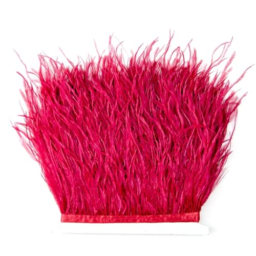 1 m Straußenfeder-Bordüre, 8–10 cm, weiche dekorative Federn für DIY-Kostüme, Hochzeitsparty, Kleid, Rose, 5 Menter von REHJJDFD