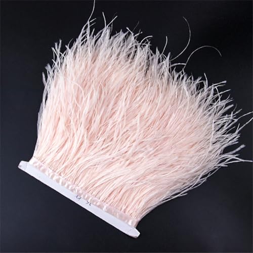 1 m Straußenfeder-Bordüre, 8–10 cm, weiche dekorative Federn für DIY-Kostüme, Hochzeitsparty, Kleid, leicht, pnnrk 5 Menter 1 m Straußenfeder-Bordüre, 8–10 cm, weiche dekorative Federn für DIY-Kostüme, Hochzeitsparty, Kleid, leicht, pnnrk 5 Menter von REHJJDFD