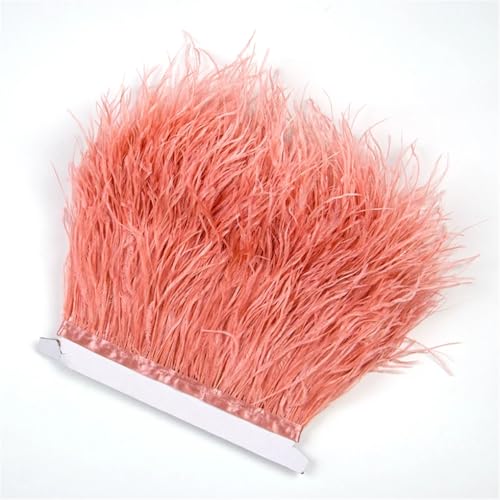 1 m Straußenfeder-Bordüre, 8–10 cm, weiche dekorative Federn für DIY-Kostüme, Hochzeitsparty, Kleid, pnnrk 1 Menter 1 m Straußenfeder-Bordüre, 8–10 cm, weiche dekorative Federn für DIY-Kostüme, Hochzeitsparty, Kleid, pnnrk 1 Menter von REHJJDFD